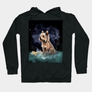 silky terrier watching stars Hoodie